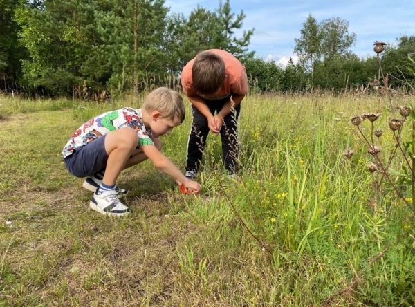 5. Loodusuurija laager (täishind) - Image 4