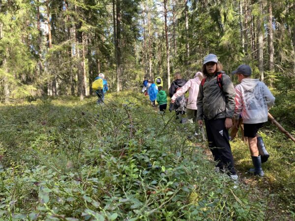 5. Loodusuurija laager (täishind) - Image 2