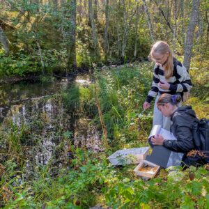 5. Loodusuurija laager (täishind)
