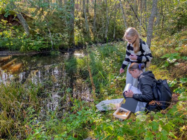 5. Loodusuurija laager (täishind)