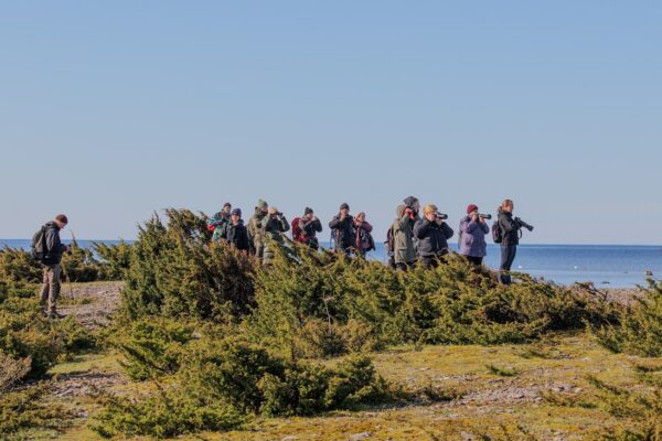 7. Osmussaare retk 6. juulil - Image 5