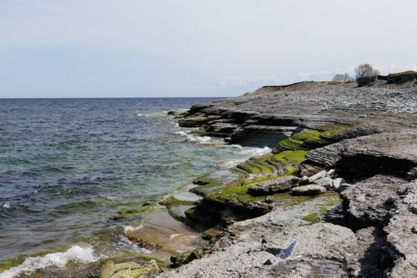 9. Osmussaare retk 12. juulil - Image 6