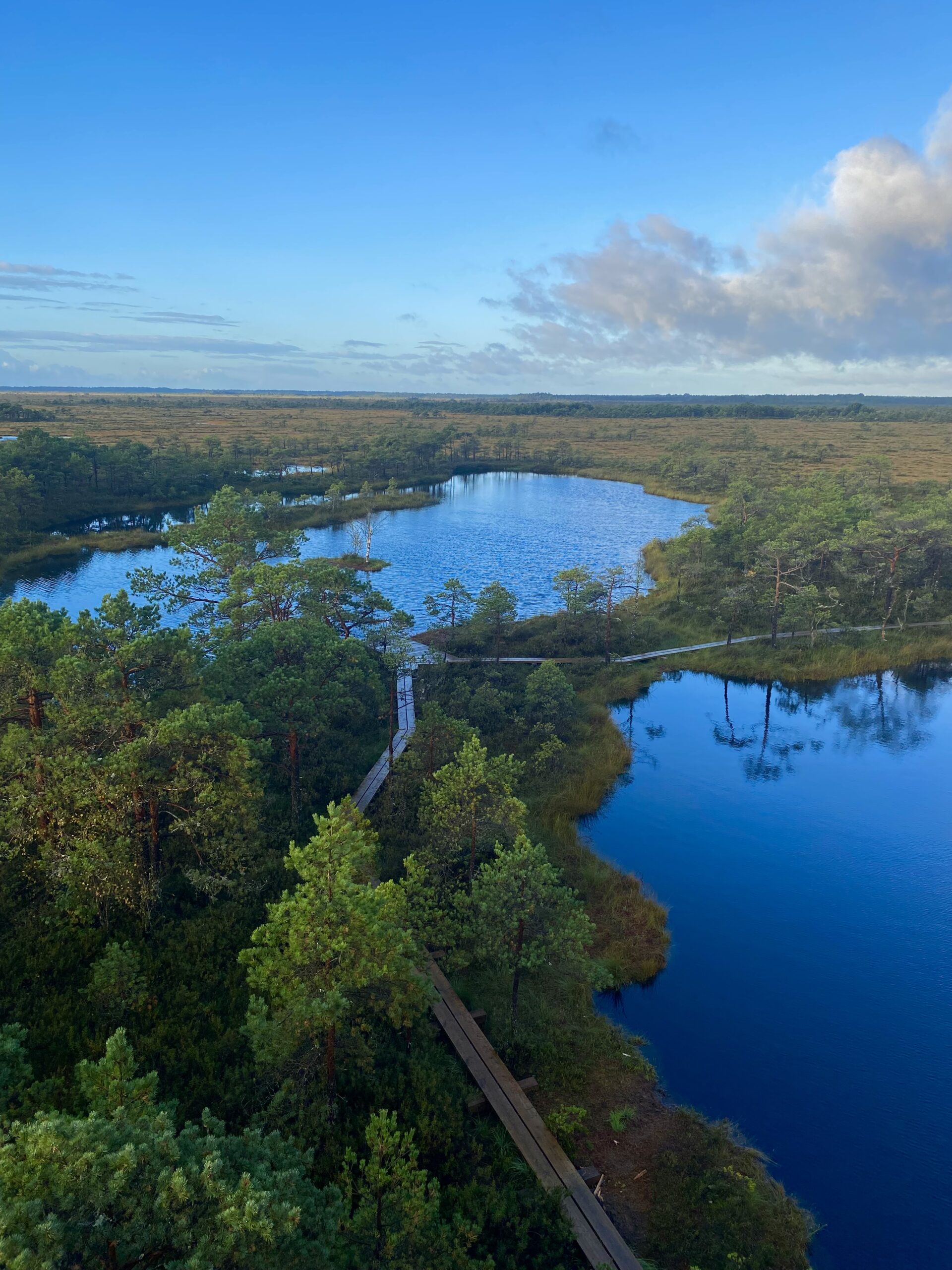 3. Rabamatk koos hommikusöögiga Marimetsa rabas (gruppidele) - Image 3