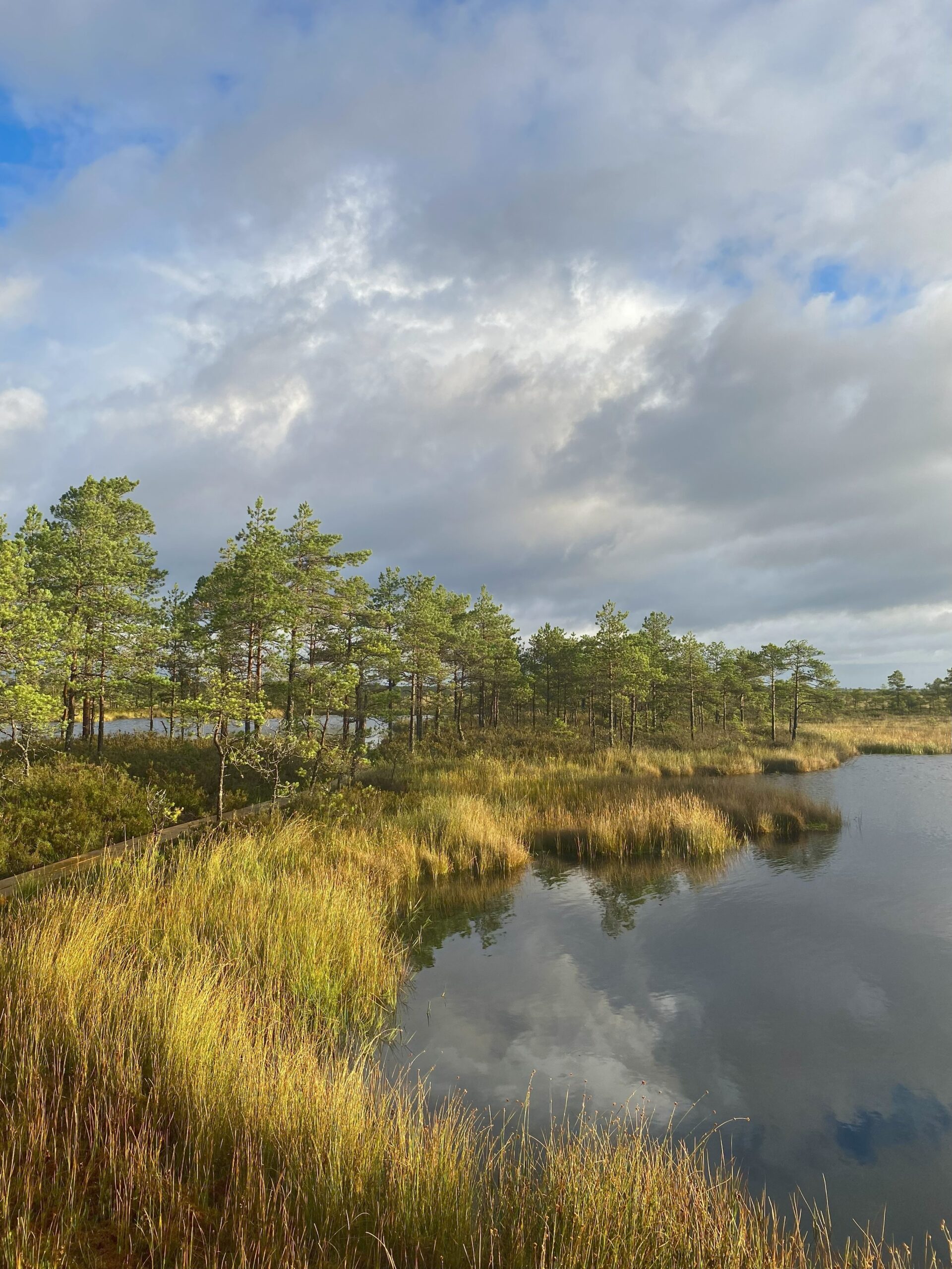 3. Rabamatk koos hommikusöögiga Marimetsa rabas (gruppidele) - Image 4