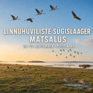 3. Linnuhuviliste sügislaager Matsalus