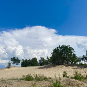 Põlendikuretk koos piknikuga (gruppidele)